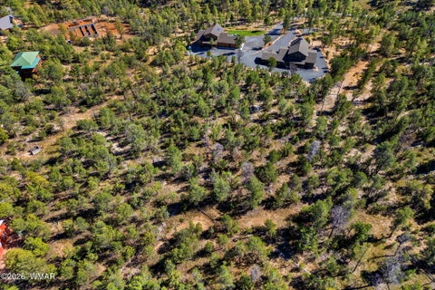 Tiny photo for 1948 Elk Road, Heber, AZ 85928 (MLS # 263400)