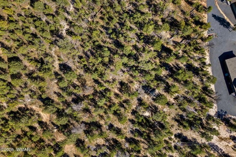 Tiny photo for 1948 Elk Road, Heber, AZ 85928 (MLS # 263400)