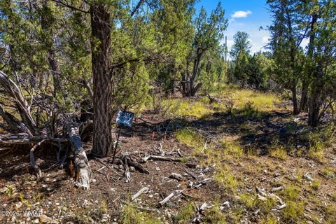 Tiny photo for 1948 Elk Road, Heber, AZ 85928 (MLS # 263400)