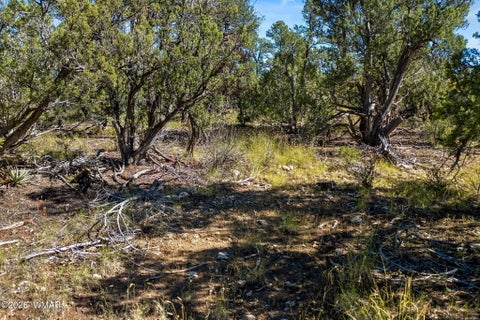 Tiny photo for 1948 Elk Road, Heber, AZ 85928 (MLS # 263400)