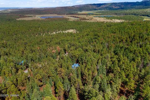 Tiny photo for 26 CR N 1068 Street, Greer, AZ 85927 (MLS # 257893)