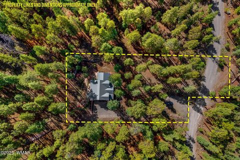 Tiny photo for 26 CR N 1068 Street, Greer, AZ 85927 (MLS # 257893)