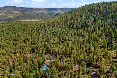 Tiny photo for 26 CR N 1068 Street, Greer, AZ 85927 (MLS # 257893)