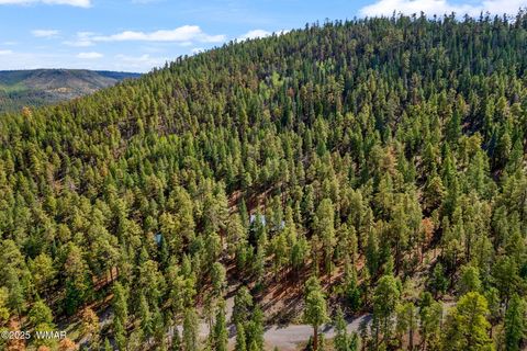 Tiny photo for 26 CR N 1068 Street, Greer, AZ 85927 (MLS # 257893)