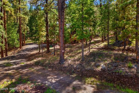 Tiny photo for 26 CR N 1068 Street, Greer, AZ 85927 (MLS # 257893)