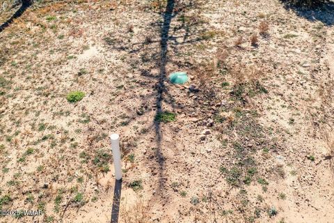 Tiny photo for 6923 Lauras Place, Show Low, AZ 85901 (MLS # 258707)