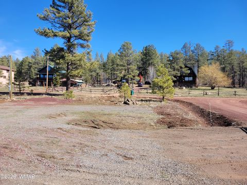 Tiny photo for 108 W Skyhawk Road, Pinetop, AZ 85935 (MLS # 259820)