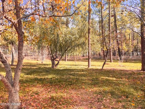 Tiny photo for 6673 Forest Avenue, Lakeside, AZ 85929 (MLS # 258828)