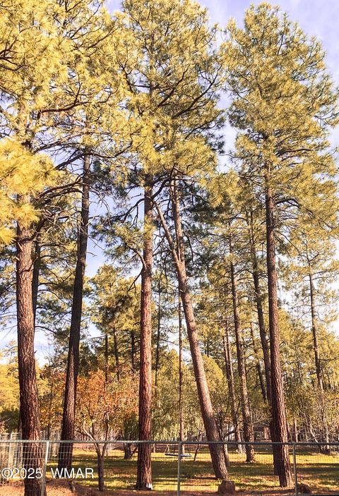 Tiny photo for 6673 Forest Avenue, Lakeside, AZ 85929 (MLS # 258828)