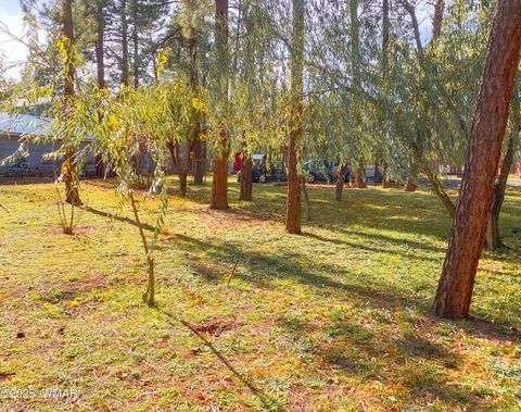 Tiny photo for 6673 Forest Avenue, Lakeside, AZ 85929 (MLS # 258828)