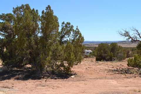 Tiny photo for TBD Clyde Road, Snowflake, AZ 85937 (MLS # 256160)