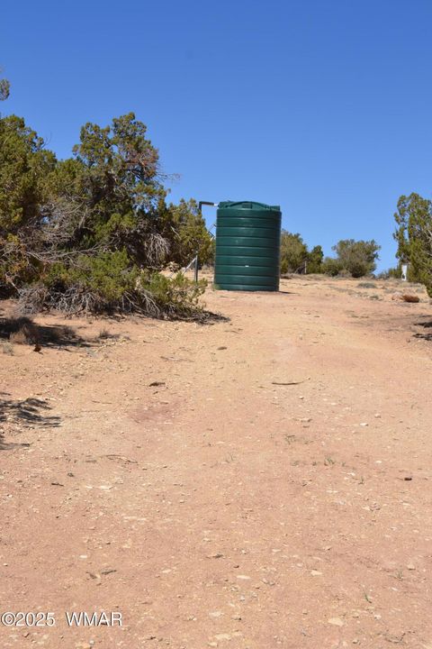 Tiny photo for TBD Clyde Road, Snowflake, AZ 85937 (MLS # 256160)