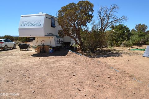 Tiny photo for TBD Clyde Road, Snowflake, AZ 85937 (MLS # 256160)
