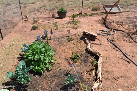 Tiny photo for TBD Clyde Road, Snowflake, AZ 85937 (MLS # 256160)