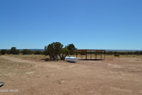 Tiny photo for TBD Clyde Road, Snowflake, AZ 85937 (MLS # 256160)