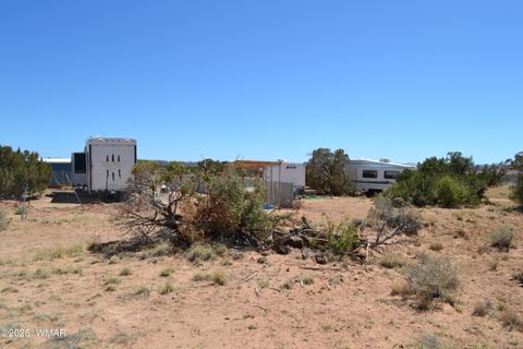 Tiny photo for TBD Clyde Road, Snowflake, AZ 85937 (MLS # 256160)