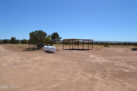 Tiny photo for TBD Clyde Road, Snowflake, AZ 85937 (MLS # 256160)