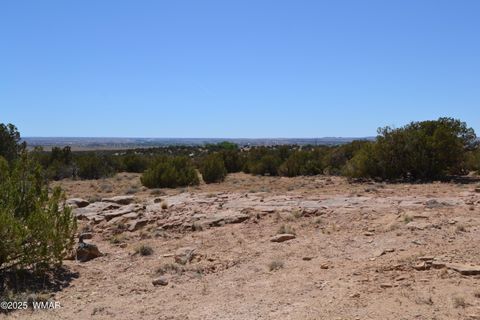 Tiny photo for TBD Clyde Road, Snowflake, AZ 85937 (MLS # 256160)