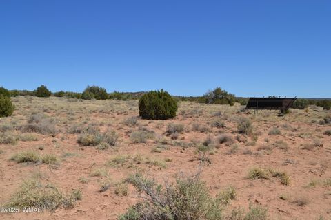 Tiny photo for TBD Clyde Road, Snowflake, AZ 85937 (MLS # 256160)