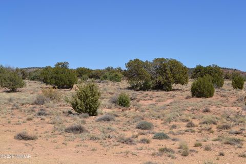 Tiny photo for TBD Clyde Road, Snowflake, AZ 85937 (MLS # 256160)