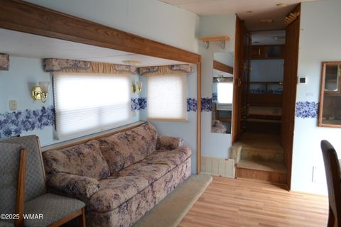 Tiny photo for TBD Clyde Road, Snowflake, AZ 85937 (MLS # 256160)