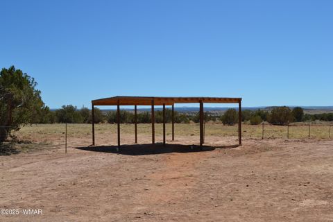 Tiny photo for TBD Clyde Road, Snowflake, AZ 85937 (MLS # 256160)