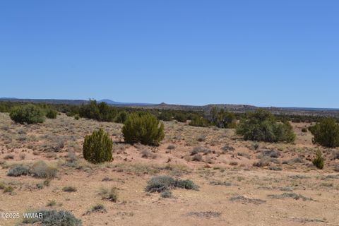 Tiny photo for TBD Clyde Road, Snowflake, AZ 85937 (MLS # 256160)