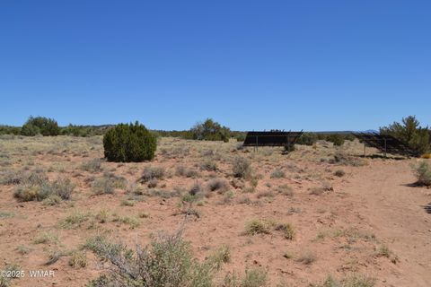 Tiny photo for TBD Clyde Road, Snowflake, AZ 85937 (MLS # 256160)