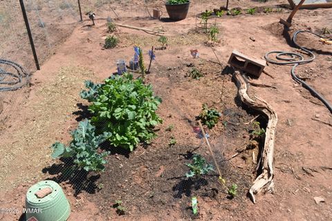 Tiny photo for TBD Clyde Road, Snowflake, AZ 85937 (MLS # 256160)