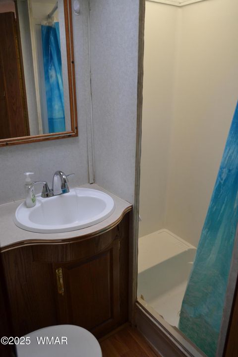 Tiny photo for TBD Clyde Road, Snowflake, AZ 85937 (MLS # 256160)