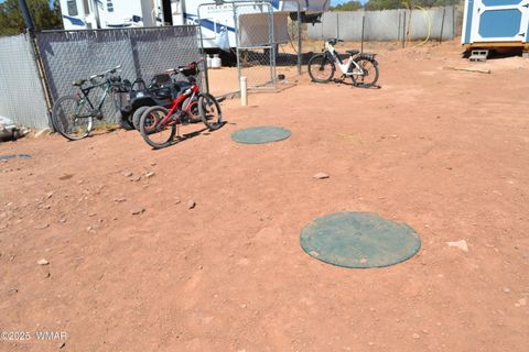 Tiny photo for TBD Clyde Road, Snowflake, AZ 85937 (MLS # 256160)