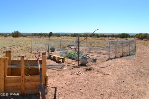 Tiny photo for TBD Clyde Road, Snowflake, AZ 85937 (MLS # 256160)