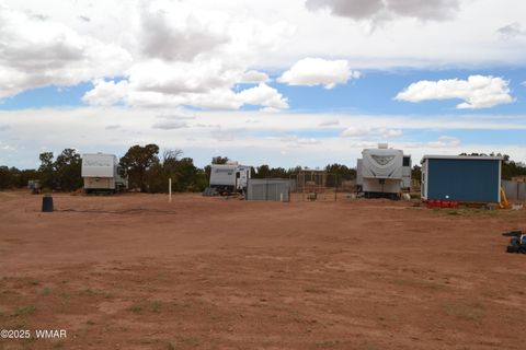 Tiny photo for TBD Clyde Road, Snowflake, AZ 85937 (MLS # 256160)