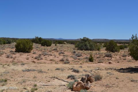 Tiny photo for TBD Clyde Road, Snowflake, AZ 85937 (MLS # 256160)