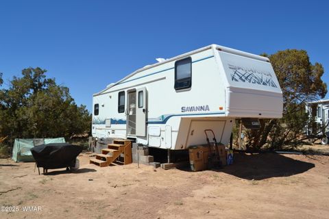 Tiny photo for TBD Clyde Road, Snowflake, AZ 85937 (MLS # 256160)