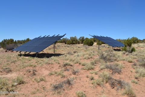 Tiny photo for TBD Clyde Road, Snowflake, AZ 85937 (MLS # 256160)