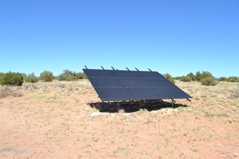 Tiny photo for TBD Clyde Road, Snowflake, AZ 85937 (MLS # 256160)