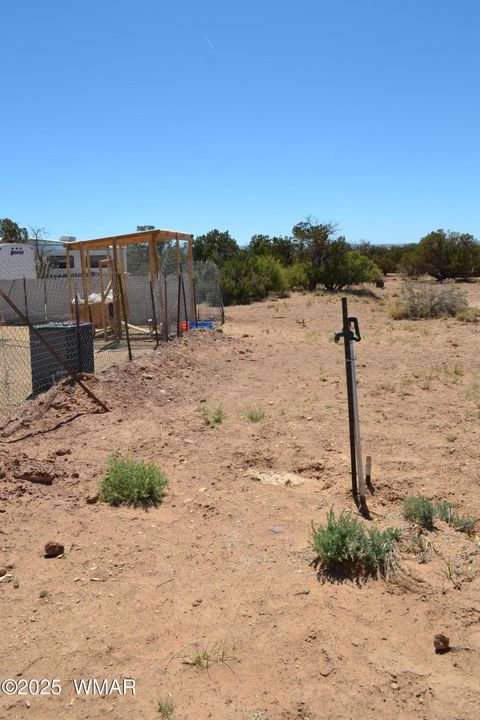 Tiny photo for TBD Clyde Road, Snowflake, AZ 85937 (MLS # 256160)