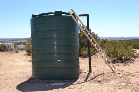 Tiny photo for TBD Clyde Road, Snowflake, AZ 85937 (MLS # 256160)