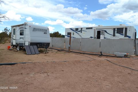 Tiny photo for TBD Clyde Road, Snowflake, AZ 85937 (MLS # 256160)