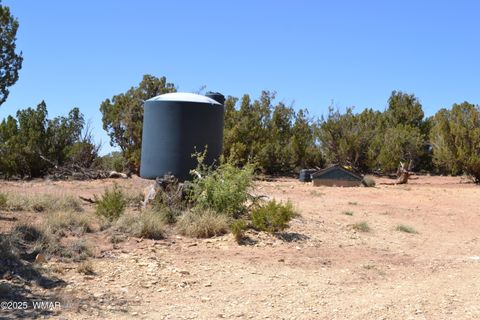 Tiny photo for TBD Clyde Road, Snowflake, AZ 85937 (MLS # 256160)