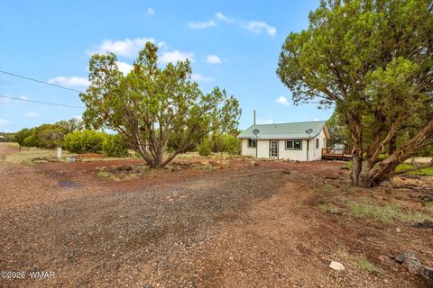 Photo of 8376 Apache Drive, Show Low, AZ 85901 (MLS # 262309)