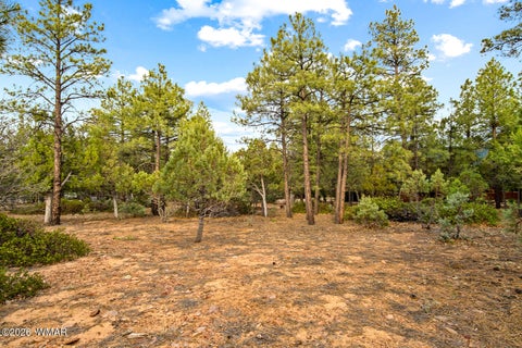 Tiny photo for 4401 W Shaggy Bark Road, Show Low, AZ 85901 (MLS # 262940)