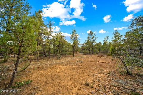 Tiny photo for 4401 W Shaggy Bark Road, Show Low, AZ 85901 (MLS # 262940)