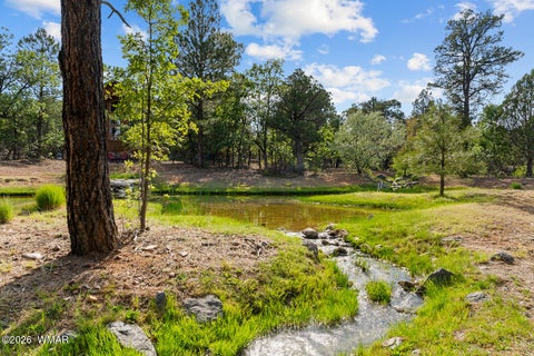 Tiny photo for 4401 W Shaggy Bark Road, Show Low, AZ 85901 (MLS # 262940)