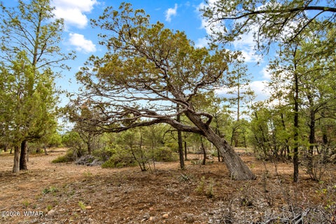 Tiny photo for 4401 W Shaggy Bark Road, Show Low, AZ 85901 (MLS # 262940)