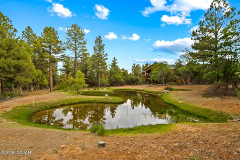 Tiny photo for 4401 W Shaggy Bark Road, Show Low, AZ 85901 (MLS # 262940)