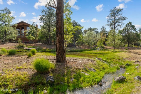 Tiny photo for 4401 W Shaggy Bark Road, Show Low, AZ 85901 (MLS # 262940)
