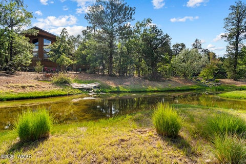 Tiny photo for 4401 W Shaggy Bark Road, Show Low, AZ 85901 (MLS # 262940)