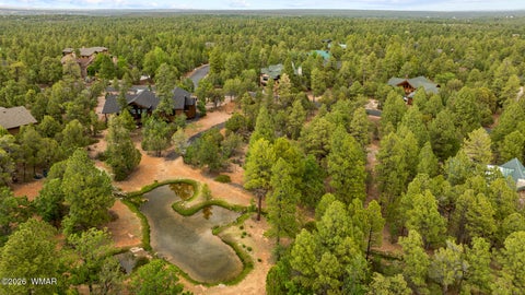 Tiny photo for 4401 W Shaggy Bark Road, Show Low, AZ 85901 (MLS # 262940)